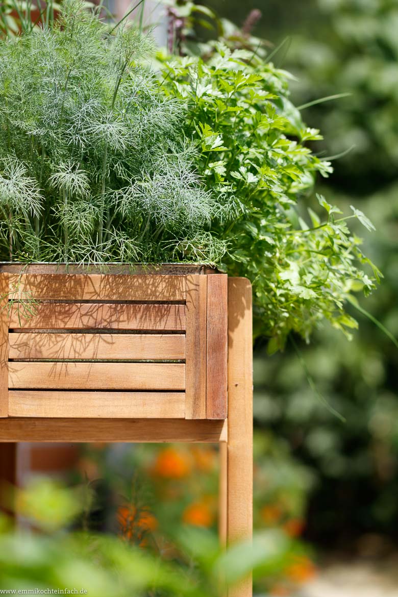Frische Kräuter im Garten - www.emmikochteinfach.de