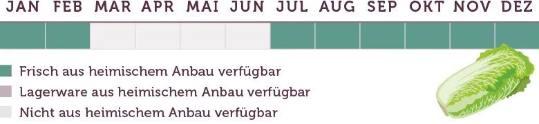 Chinakohl Saison - www.emmikochteinfach.de