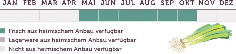 Frühlingszwiebel Saison - www.emmikochteinfach.de