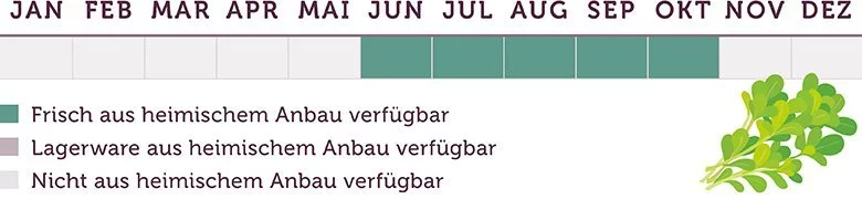Portulak Saison - www.emmikochteinfach.de