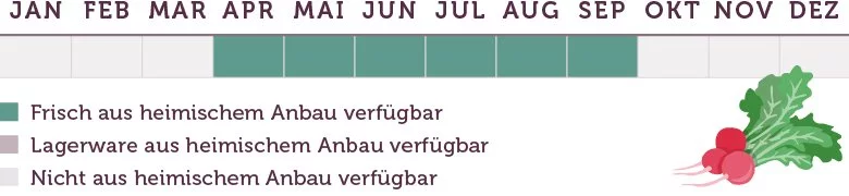 Radieschen Saison - www.emmikochteinfach.de