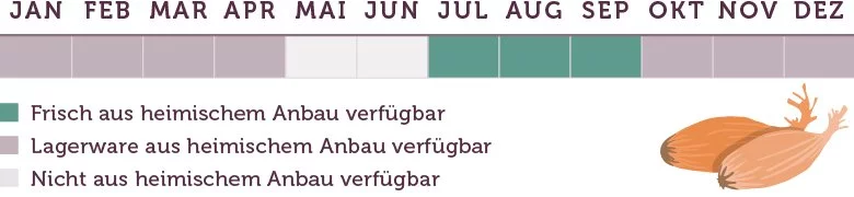 Schalotten Saison - www.emmikochteinfach.de