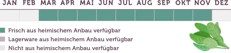 Spinat Saison - www.emmikochteinfach.de