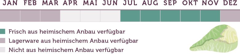 Alles über Spitzkohl - Saison Und Infos - Emmikochteinfach