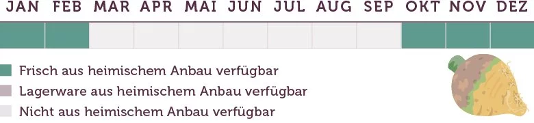 Steckrüben Saison - www.emmikochteinfach.de