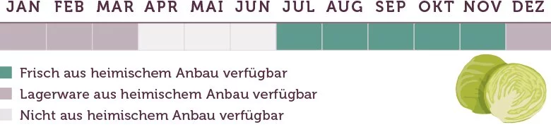Weißkohl Saison - www.emmikochteinfach.de