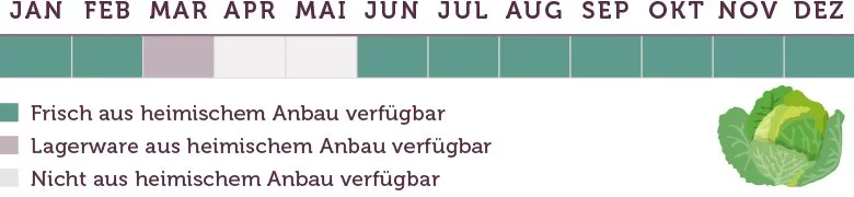 Wirsing Saison - www.emmikochteinfach.de