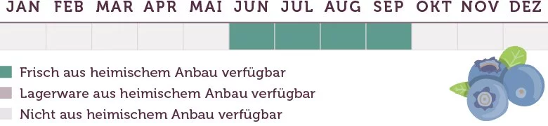 Heidelbeere Saison - www.emmikochteinfach.de