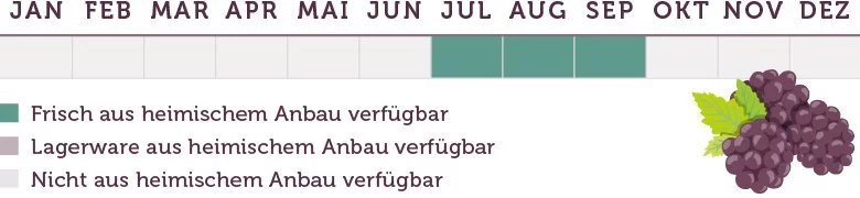 Brombeeren Saison - www.emmikochteinfach.de