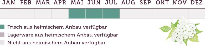 Holunderblüten Saison - www.emmikochteinfach.de