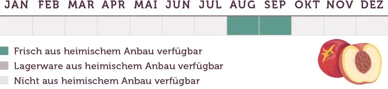 Nektarinen Saison - www.emmikochteinfach.de
