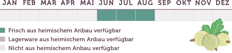 Stachelbeeren Saison - www.emmikochteinfach.de