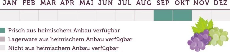 Weintrauben Saison - www.emmikochteinfach.de