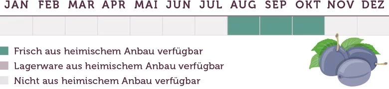 Zwetschgen Saison - www.emmikochteinfach.de