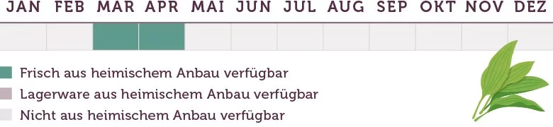 Bärlauch Saison - www.emmikochteinfach.de
