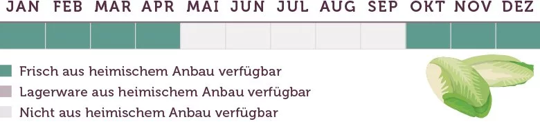 Chicorée Saison - www.emmikochteinfach.de