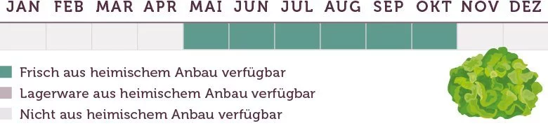 Eichblattsalat Saison - www.emmikochteinfach.de