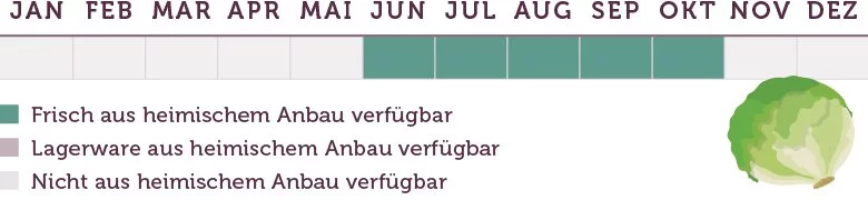 Eisbergsalat Saison - www.emmikochteinfach.de