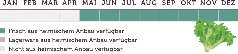 Endiviensalat Saison - www.emmikochteinfach.de