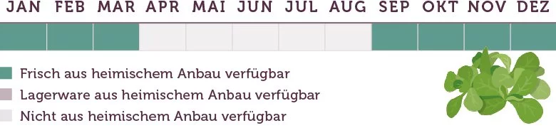 Feldsalat Saison - www.emmikochteinfach.de