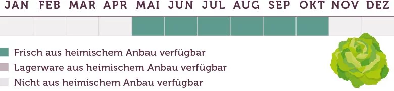Kopfsalat Saison - www.emmikochteinfach.de