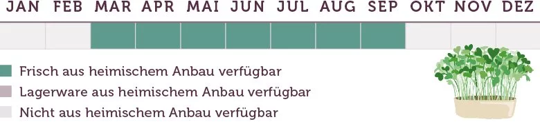 Kresse Saison - www.emmikochteinfach.de