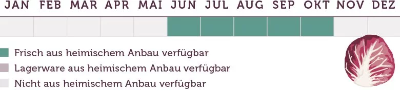 Radicchio Saison - www.emmikochteinfach.de