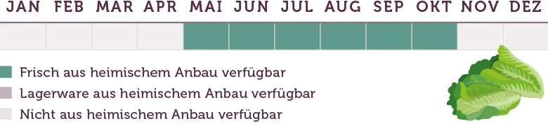Romanasalat / Römersalat Saison - www.emmikochteinfach.de