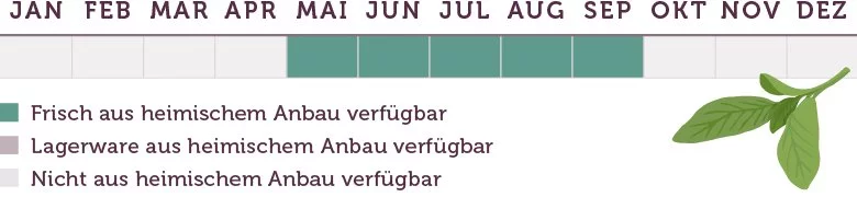 Salbei Saison - www.emmikochteinfach.de