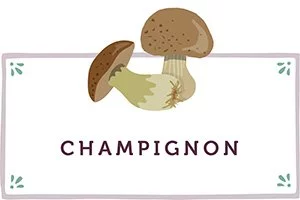 Champignons Kachel - www.emmikochteinfach.de