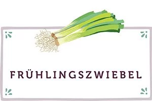Frühlingszwiebel Kachel - www.emmikochteinfach.de