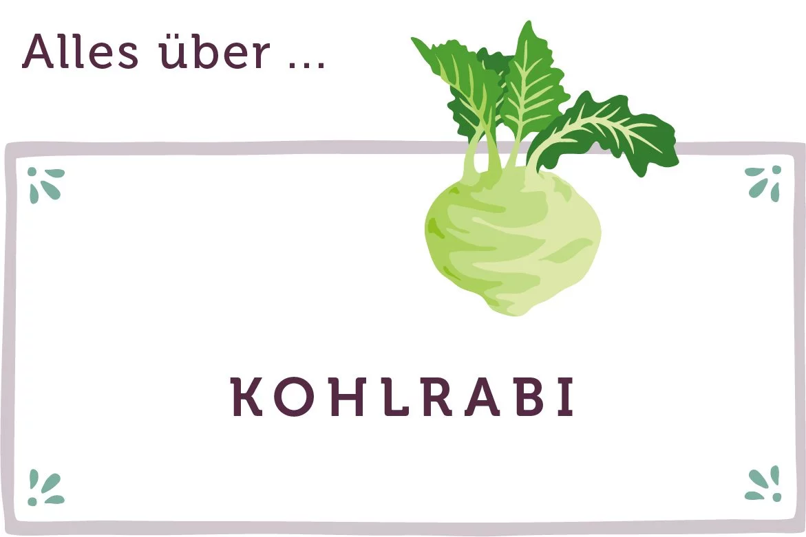 Alles über Kohlrabi - www.emmikochteinfach.de