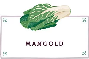 Mangold Kachel - www.emmikochteinfach.de