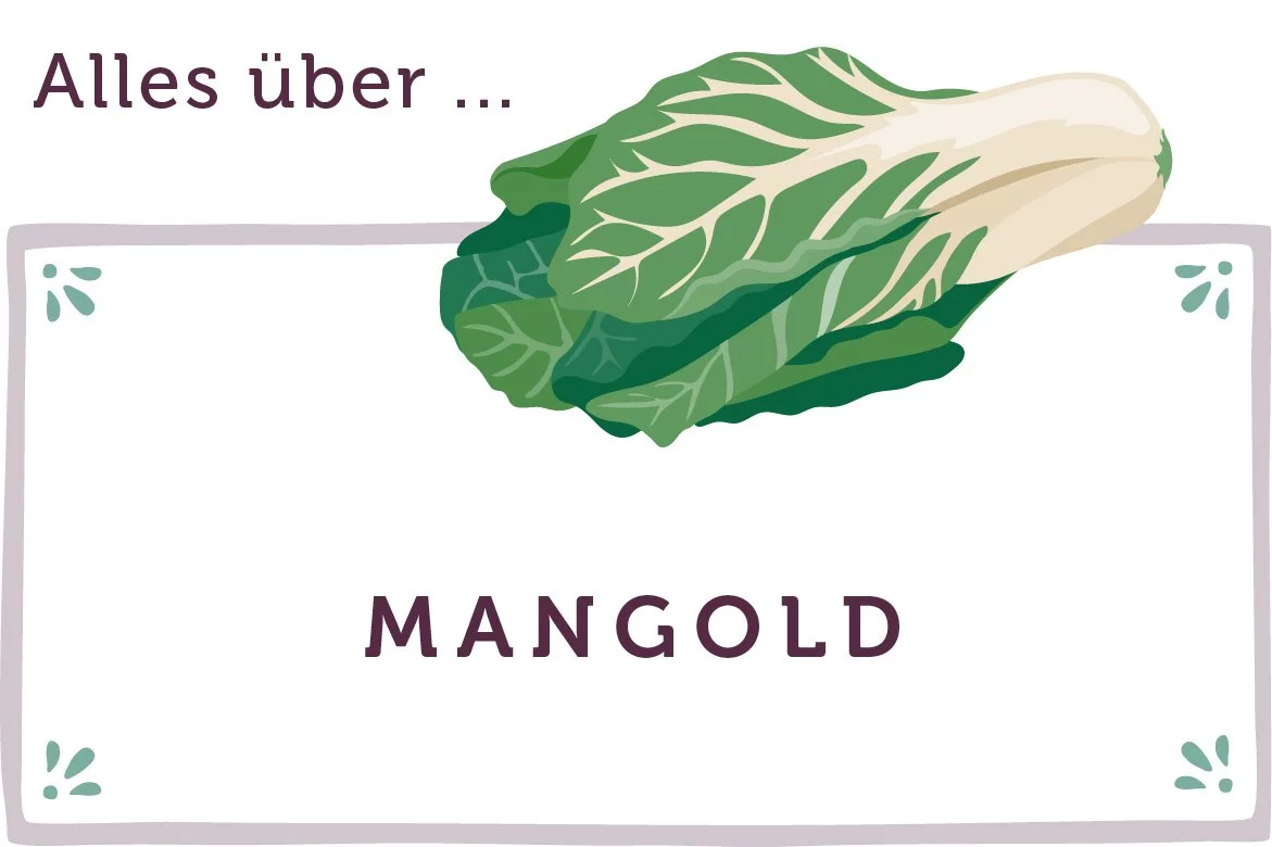 Alles über Mangold - www.emmikochteinfach.de