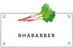 Rhabarber Kachel - www.emmikochteinfach.de