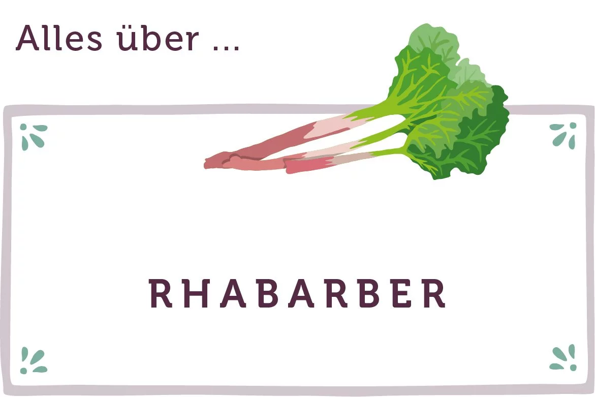 Alles über Rhabarber - www.emmikochteinfach.de