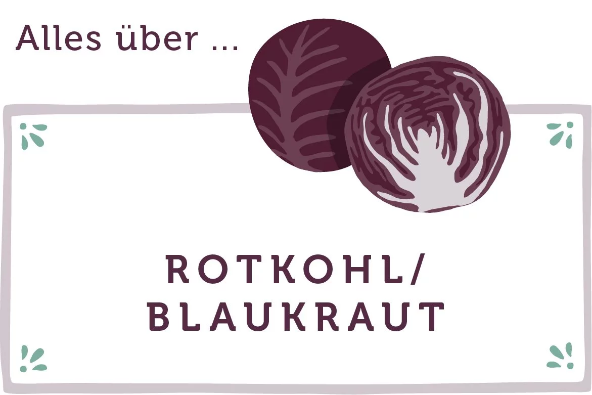 Alles über Rotkohl - www.emmikochteinfach.de