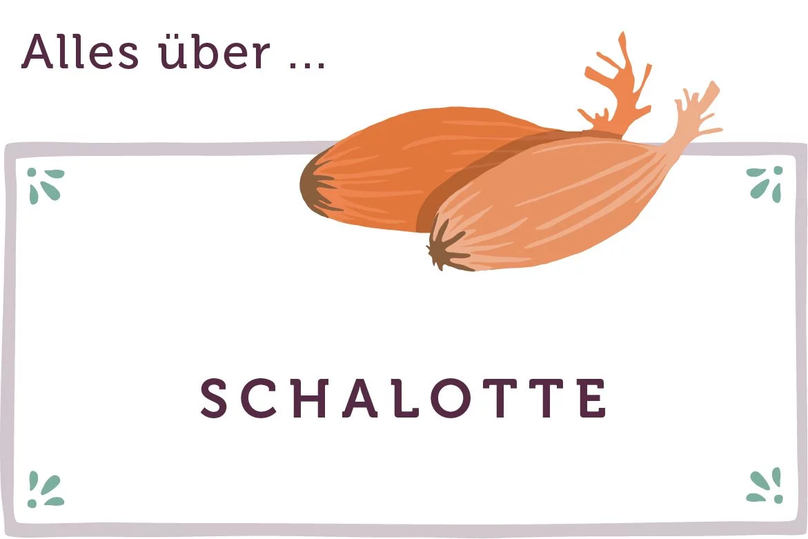 Schalotte Saison - www.emmikochteinfach.de