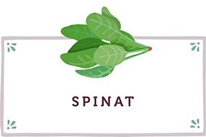Spinat Kachel - www.emmikochteinfach.de