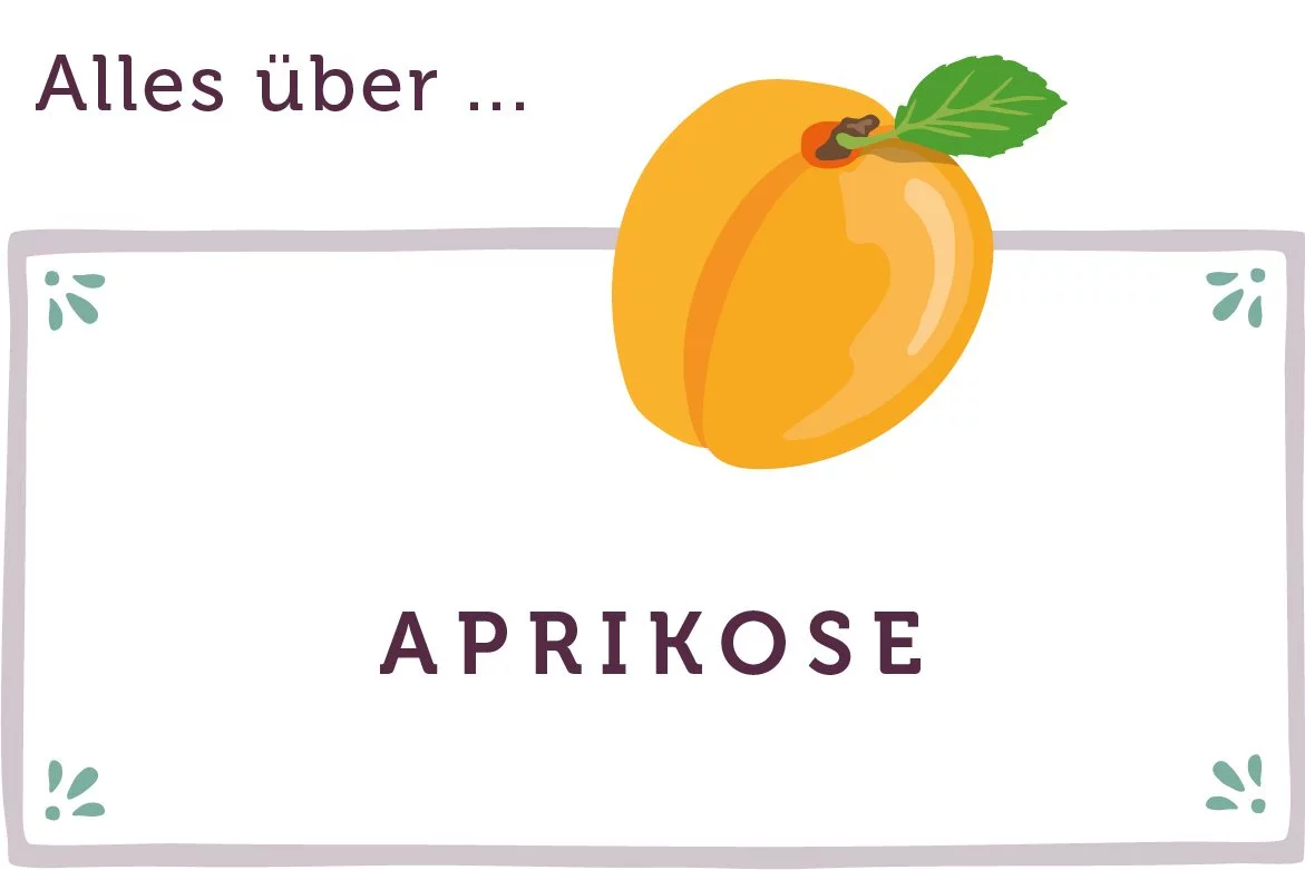 Alles über Aprikosen - www.emmikochteinfach.de