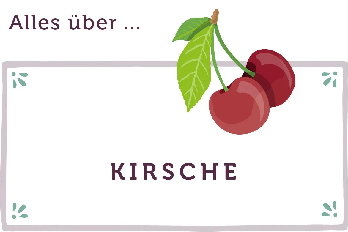Alles über Kirschen - www.emmikochteinfach.de