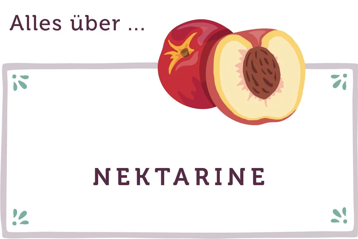 Alles über Nektarinen - www.emmikochteinfach.de