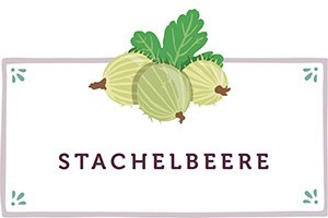 Stachelbeeren Kachel - www.emmikochteinfach.de