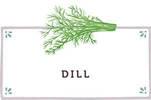 Dill Kachel - www.emmikochteinfach.de