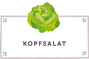 Kopfsalat Kachel - www.emmikochteinfach.de