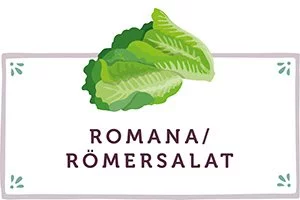 Romanasalat Kachel - www.emmikochteinfach.de