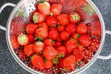 Erdbeeren für Erdbeerkuchen mit Mascarpone-Creme waschen und putzen