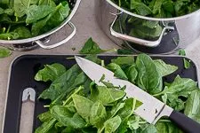 Spinat schneiden für die Spinatlasagne