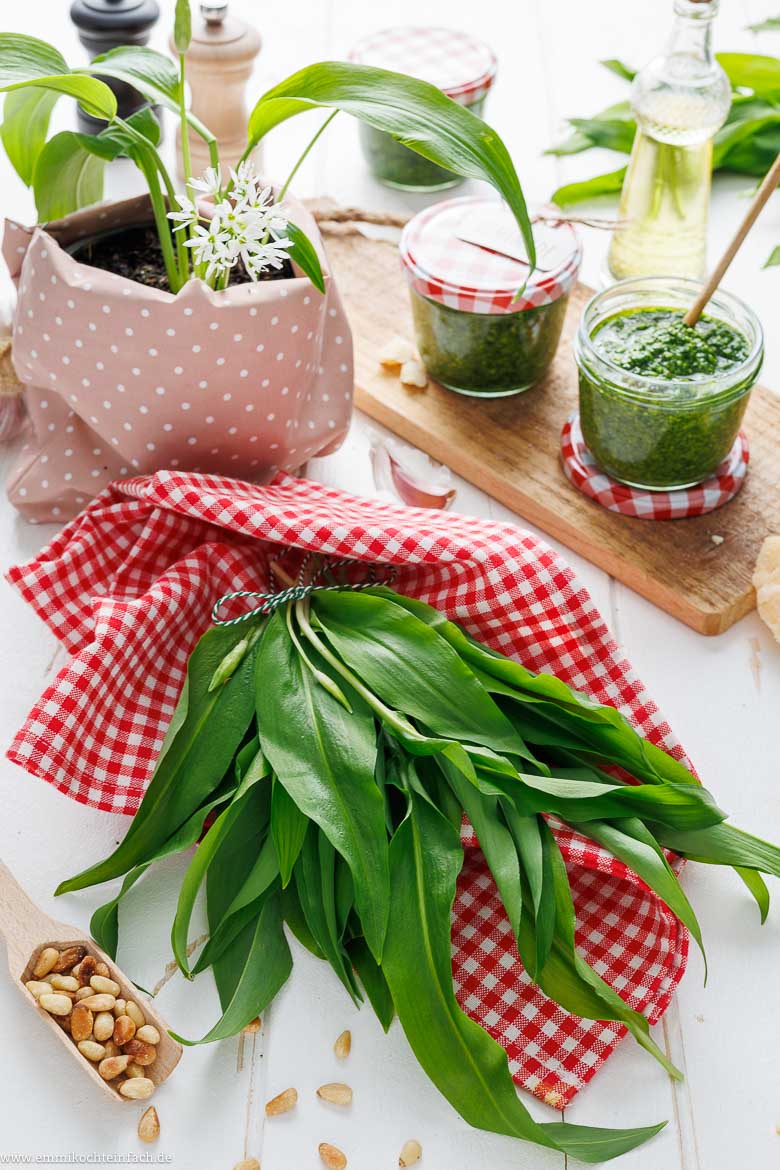 Bärlauch Pesto - www.emmikochteinfach.de
