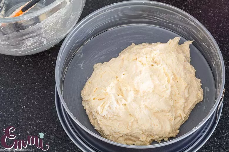 Rührteig in die Springform - www.emmikochteinfach.de